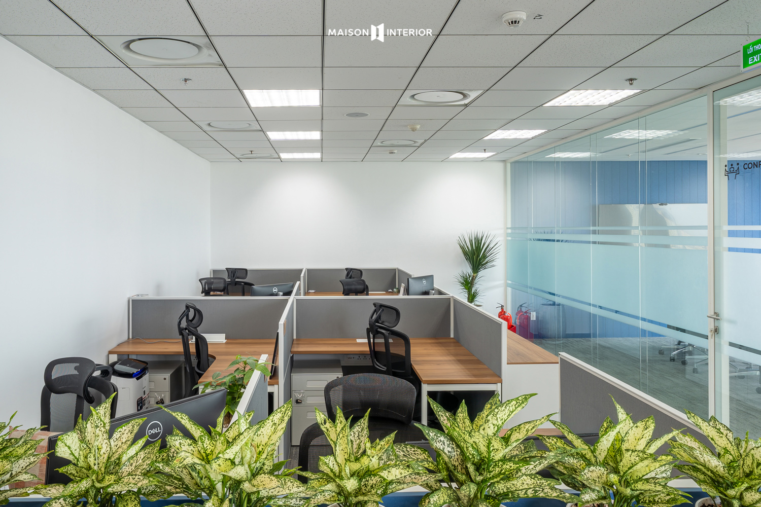 Matson Shipping Vietnam Office Design and Construction Project 10