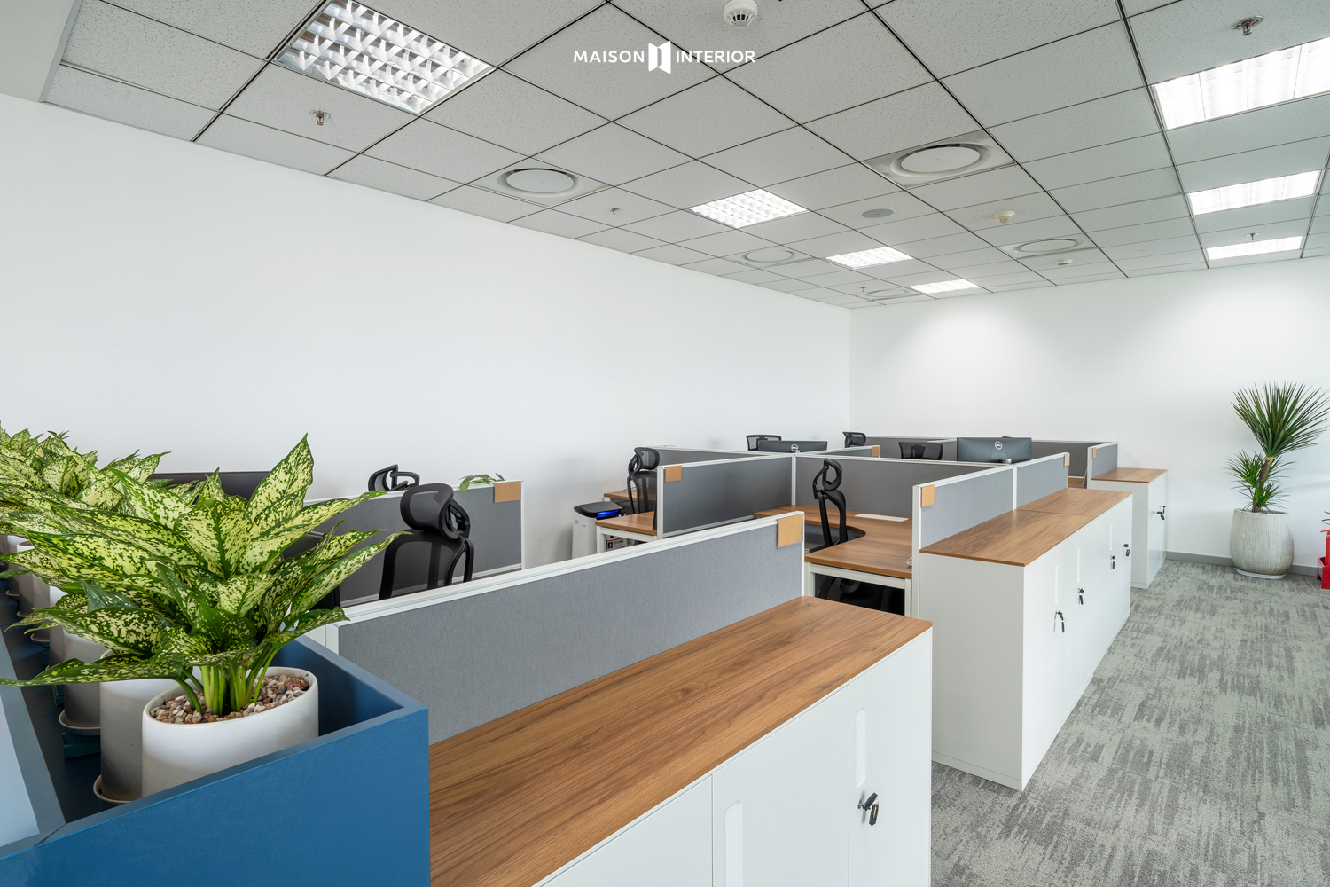 Matson Shipping Vietnam Office Design and Construction Project 11
