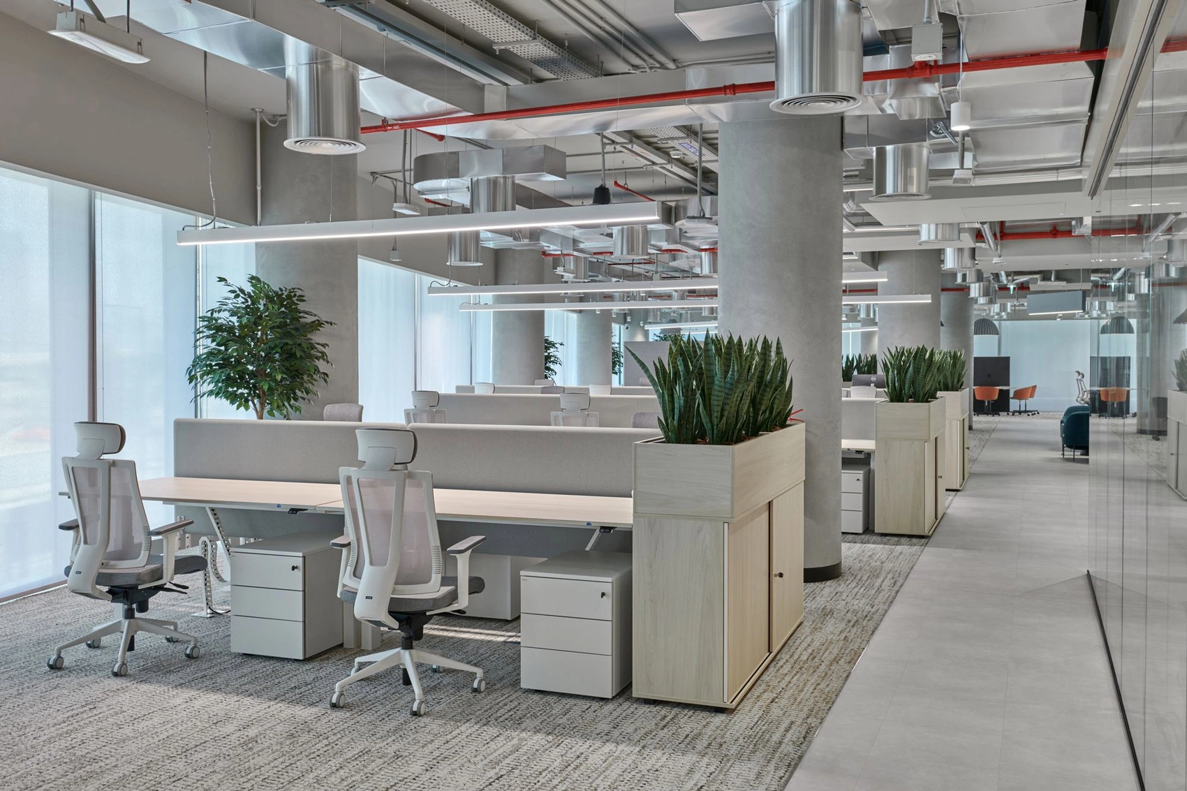 A bright office with shared workstations, greenery and a discussion area beyond.