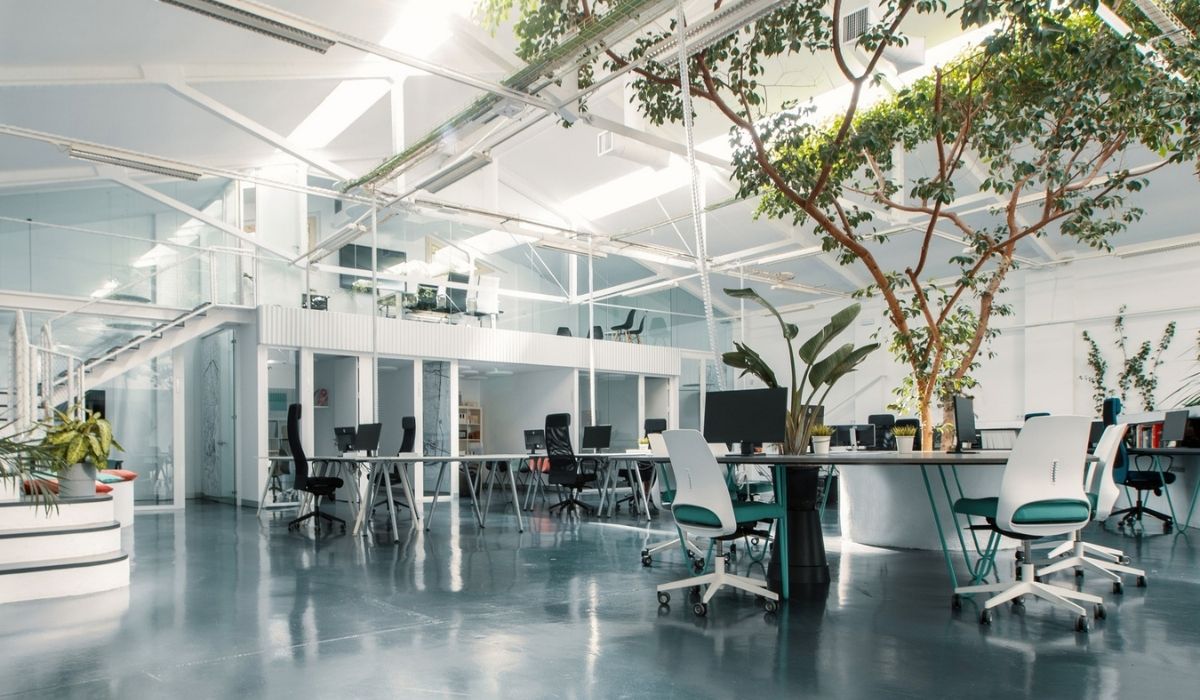 Không gian làm việc thiết kế biophilic